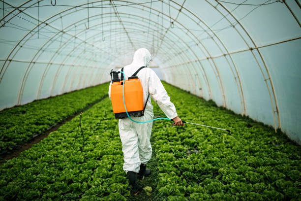 Best Local Pest Control Services  in Farm Loop, AK