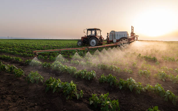 Best Pest Removal Services  in Farm Loop, AK